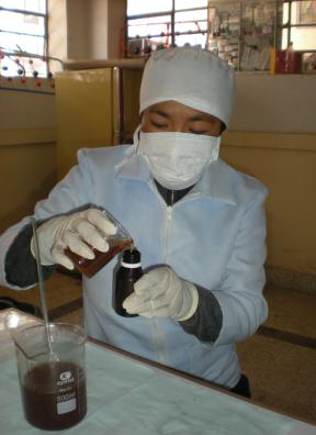 Propiedades terapéuticas de gusano laqato contra enfermedades respiratorias