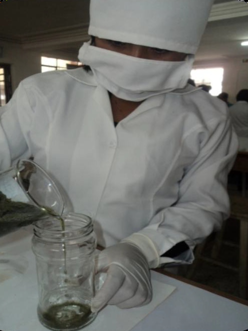 Vino medicinal de ajenjo contra la parasitosis en niños